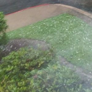 Meet your Posher, Ashlyn